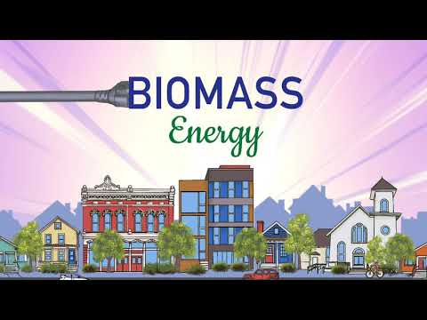 Understanding Bioenergy: A Comprehensive Overview