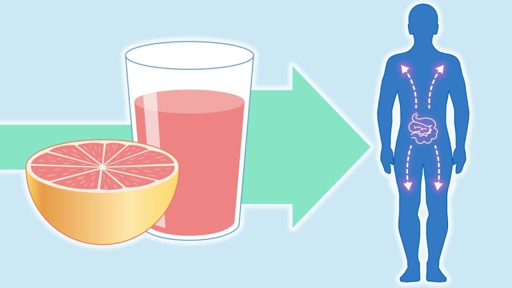 Grapefruit’s Drug Tango Unveiling Surprising Interactions Giga Paper