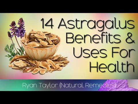 The Effects of Astragalus on the Human Body