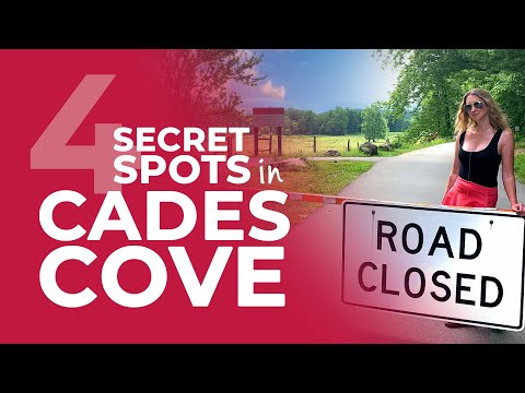 Things to Experience in Cades Cove