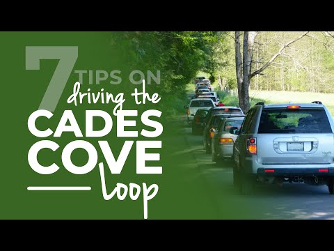 Top Activities to Experience at Cades Cove