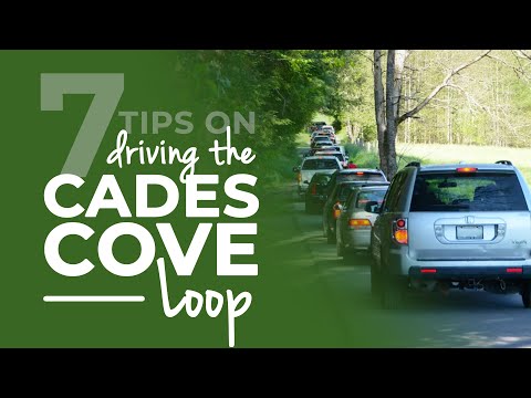 Top Activities to Experience at Cades Cove