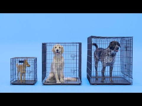 What crate size is suitable for a French Bulldog?