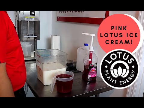What does the pink lotus drink consist of?