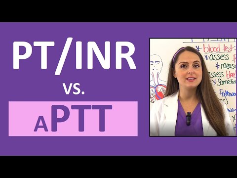 Understanding the Meaning of INR in a Blood Test