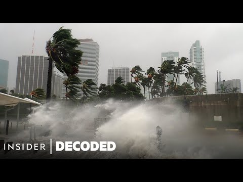 Factors that Contribute to the Formation of Hurricanes