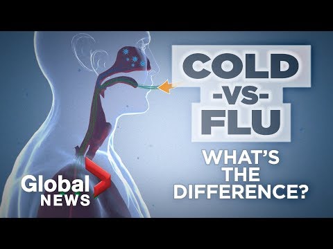 What is the sensation of having a head cold?