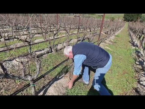 Activities to Enjoy in Napa on a Rainy Day