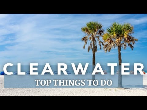 Activities to Enjoy in Clearwater on Rainy Days