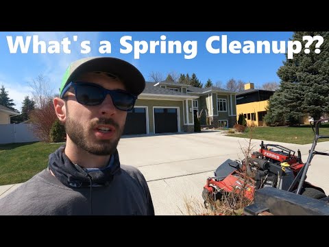 Understanding the Purpose of Spring Cleaning