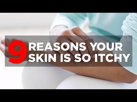 What factors contribute to skin itchiness?