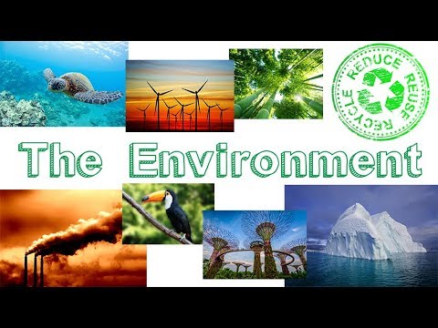 What Does the Environment Entail?