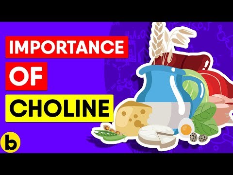 The role of choline: Exploring its functions