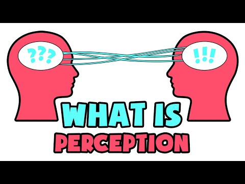 Understanding Perception in Psychology