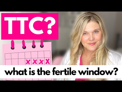 Understanding the Fertile Window: An Overview