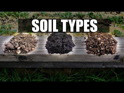 What exactly is top soil?