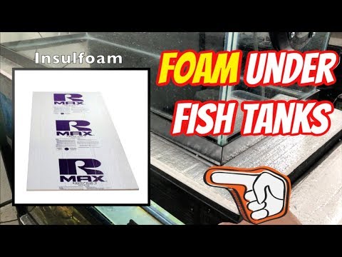 How to Safeguard Wood Beneath a Fish Tank